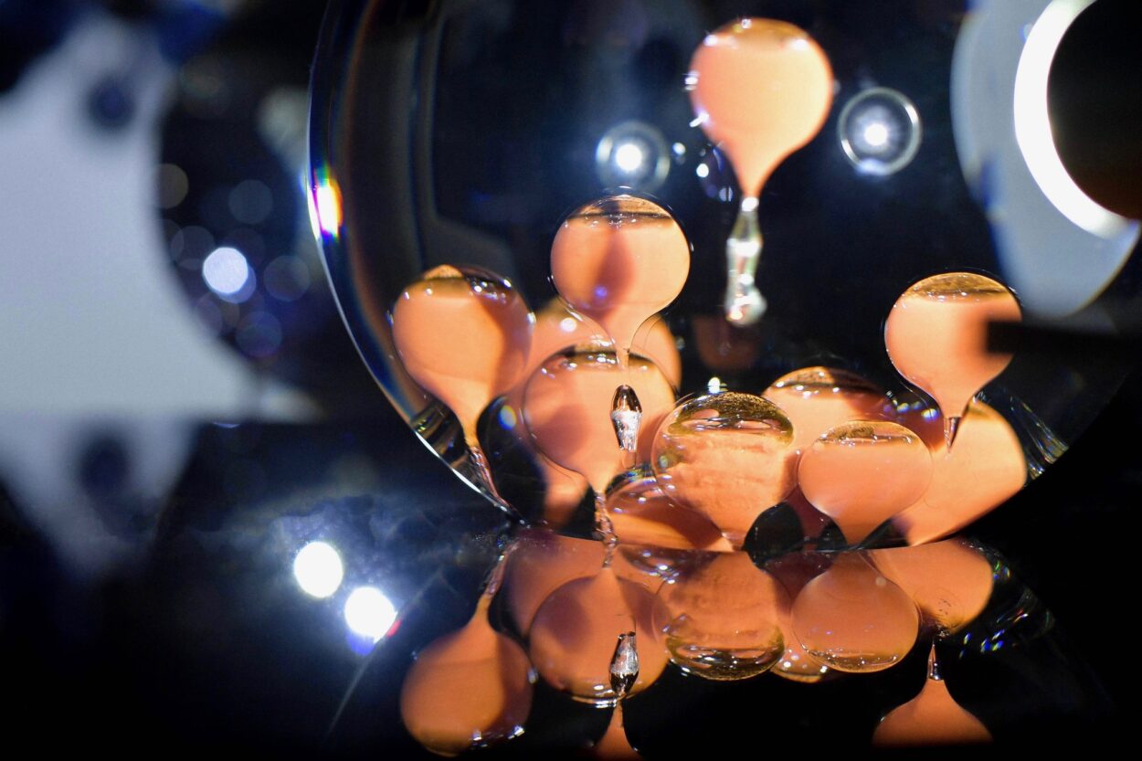 Volvox – Plonger dans la lumière - Perform Lab