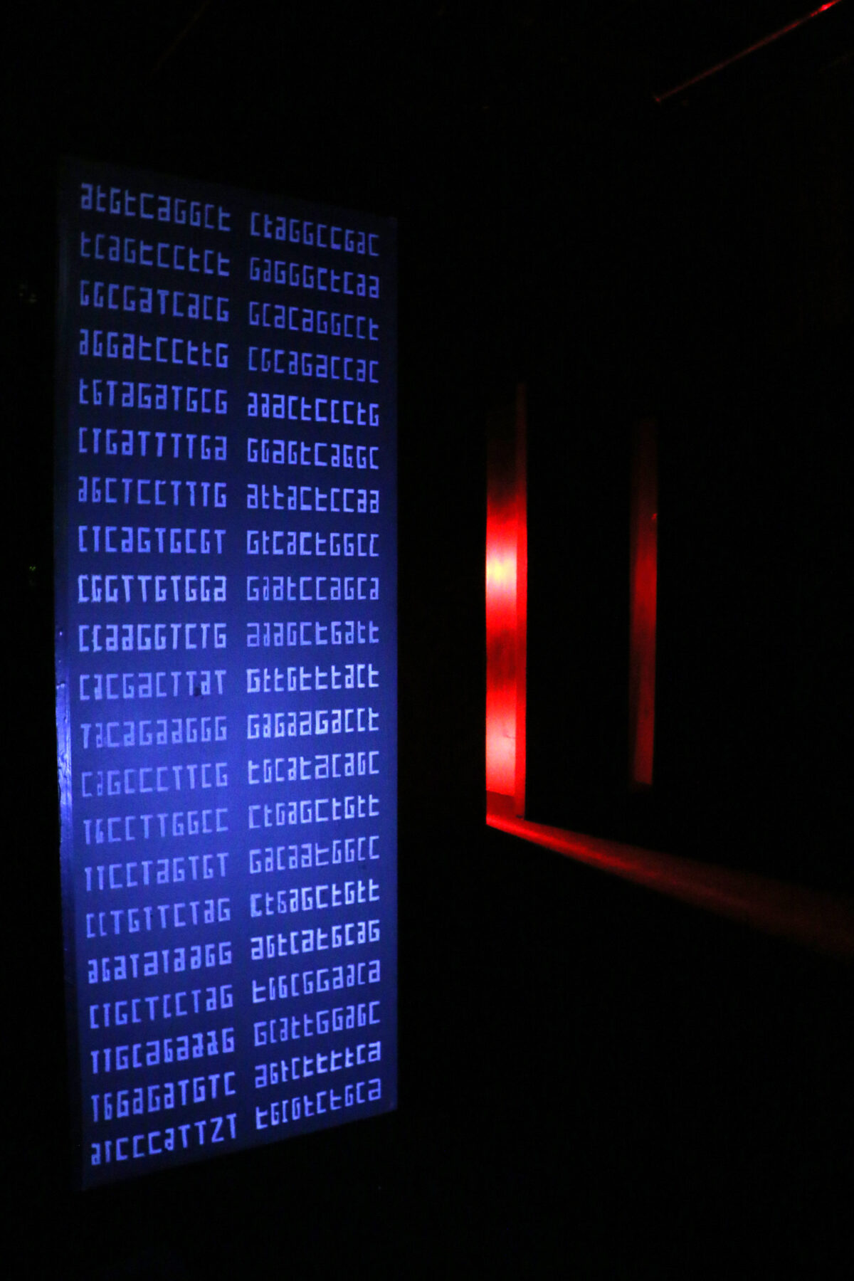 Impressio - Perform Lab