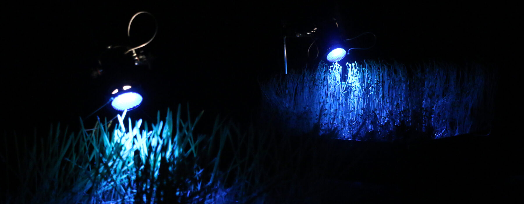 Impressio - Perform Lab