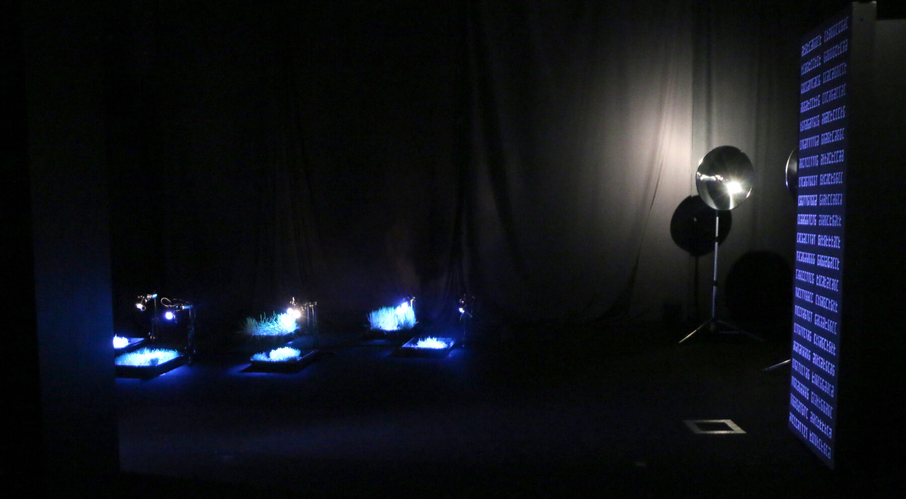 Impressio - Perform Lab