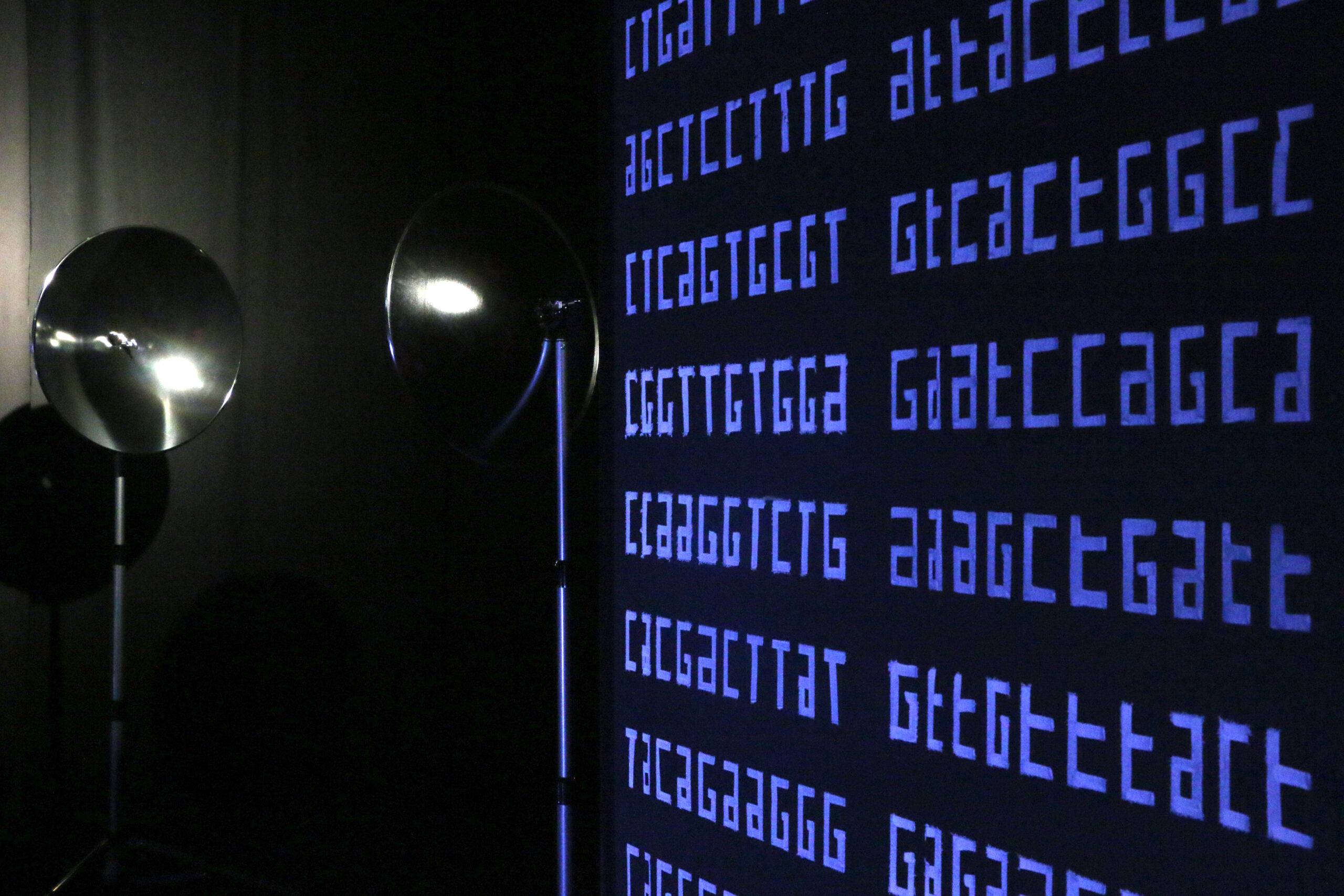 Impressio - Perform Lab