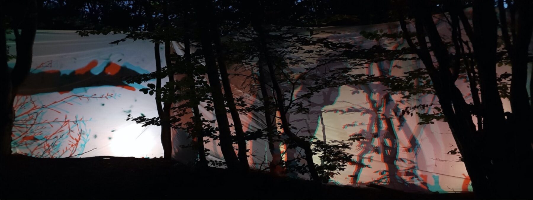 Décalage vers le rouge – Devenir sol, plante, animal (2020) et Décalage vers le rouge – Origine Temps-Espace (2024) - Perform Lab