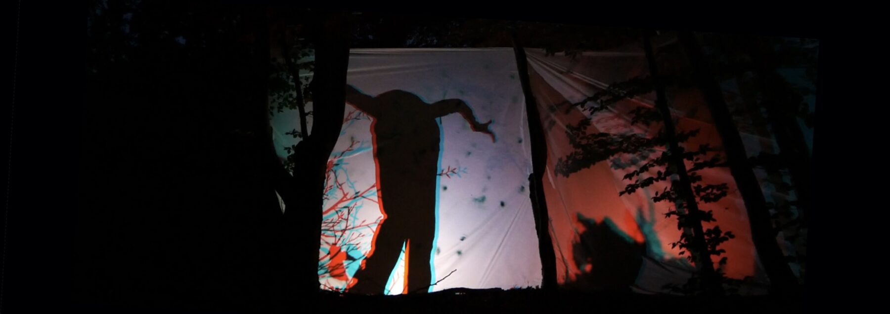 Décalage vers le rouge – Devenir sol, plante, animal (2020) et Décalage vers le rouge – Origine Temps-Espace (2024) - Perform Lab