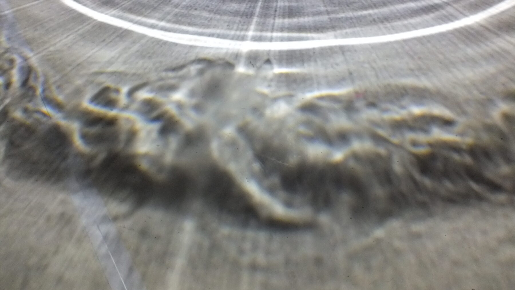 Quantum Dream, the day I imagined the ocean - Perform Lab