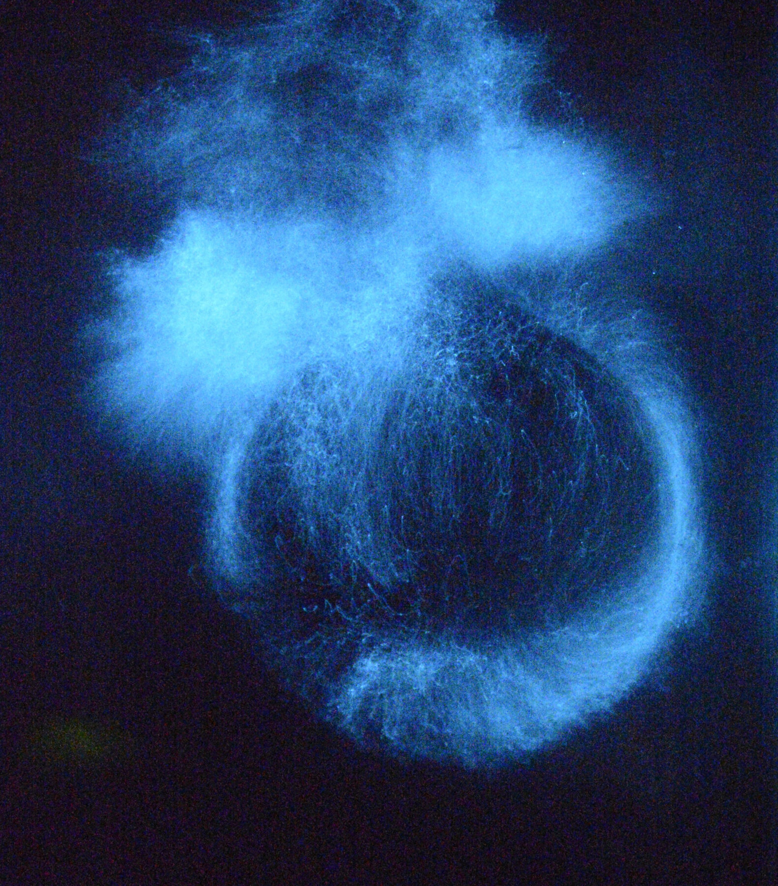 Incipit Temporis – Ici commence le Temps - Perform Lab